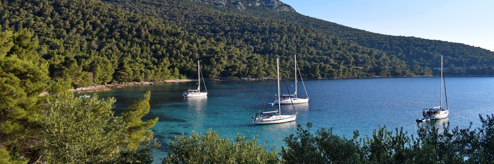 Segelbtar i en vacker turkos vik omgivna av grna kullar - en idyllisk plats att segla i Kroatien och njuta av naturen 