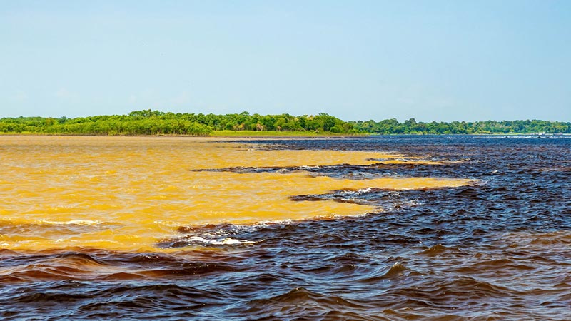 Rio Negro m�ter Amazonasfloden