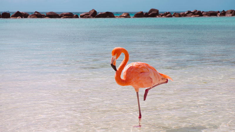 Oranjestad, Aruba