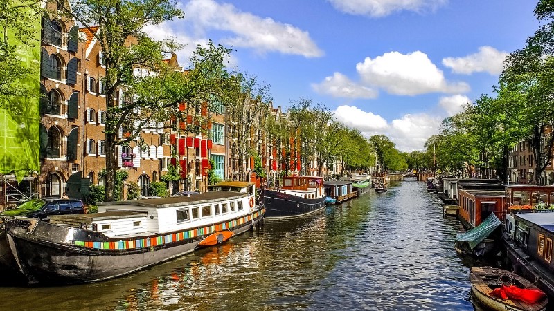 Amsterdam (Ijmuiden), Nederlnderna