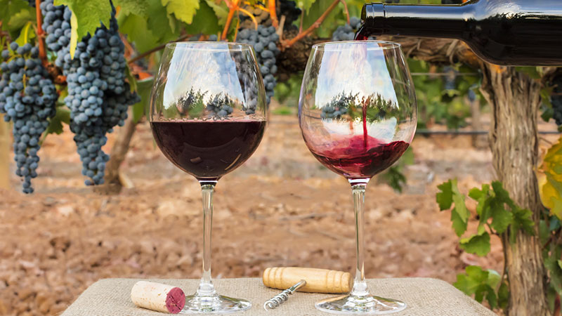 Vinutflykt till Chablis
